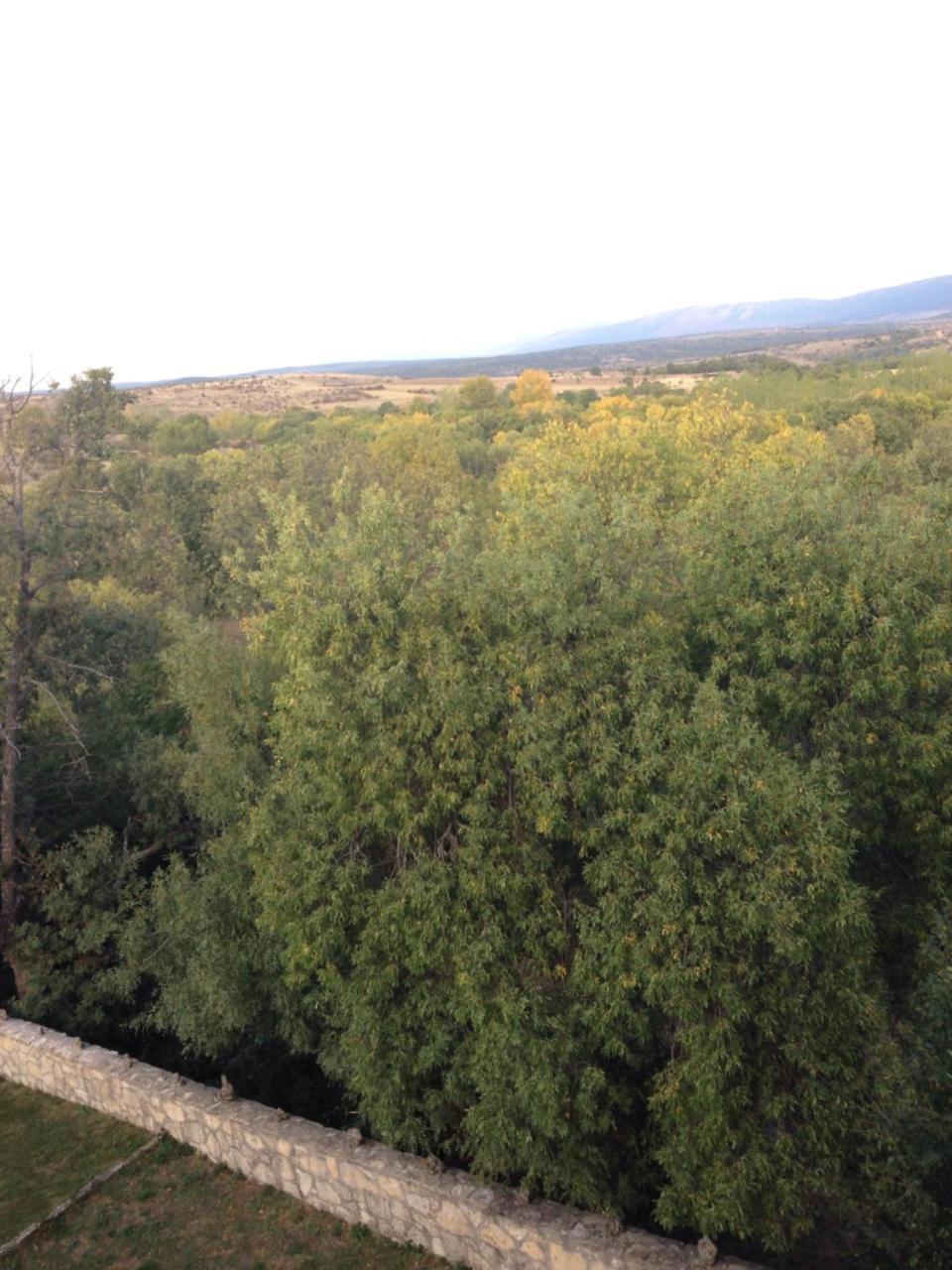 Apartamento Rural La Muralla De Pedraza Chavida Exterior foto